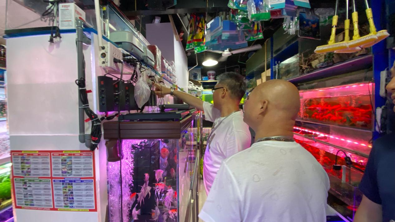 ���罫�����������У�Ǯ���̳ǽ�ǰ��������