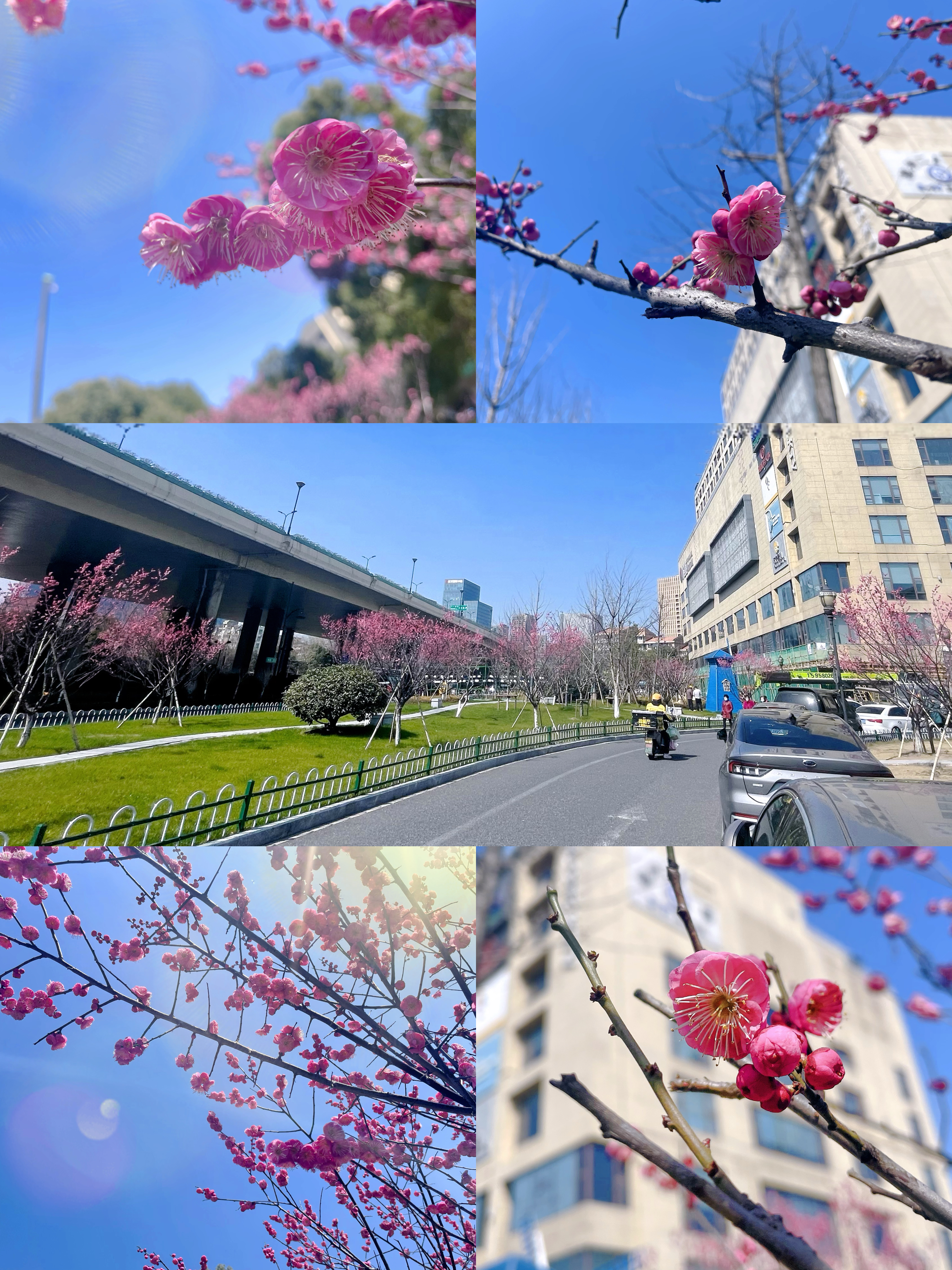 ÷�����Կຮ�����������Ż�����