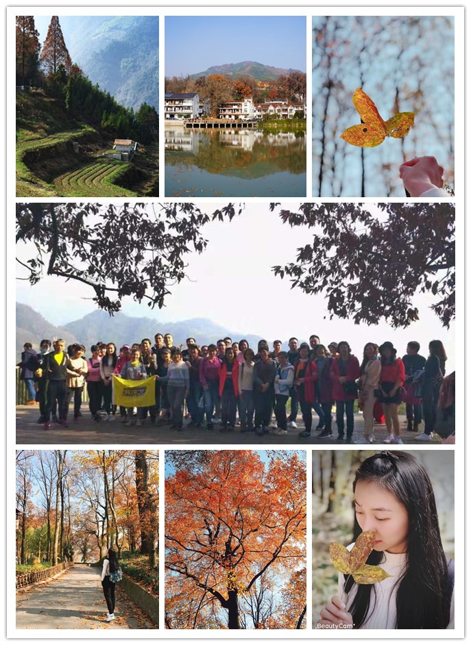 �������ŵ��ӽ����г���֯��ָ�ϴ�����˶�