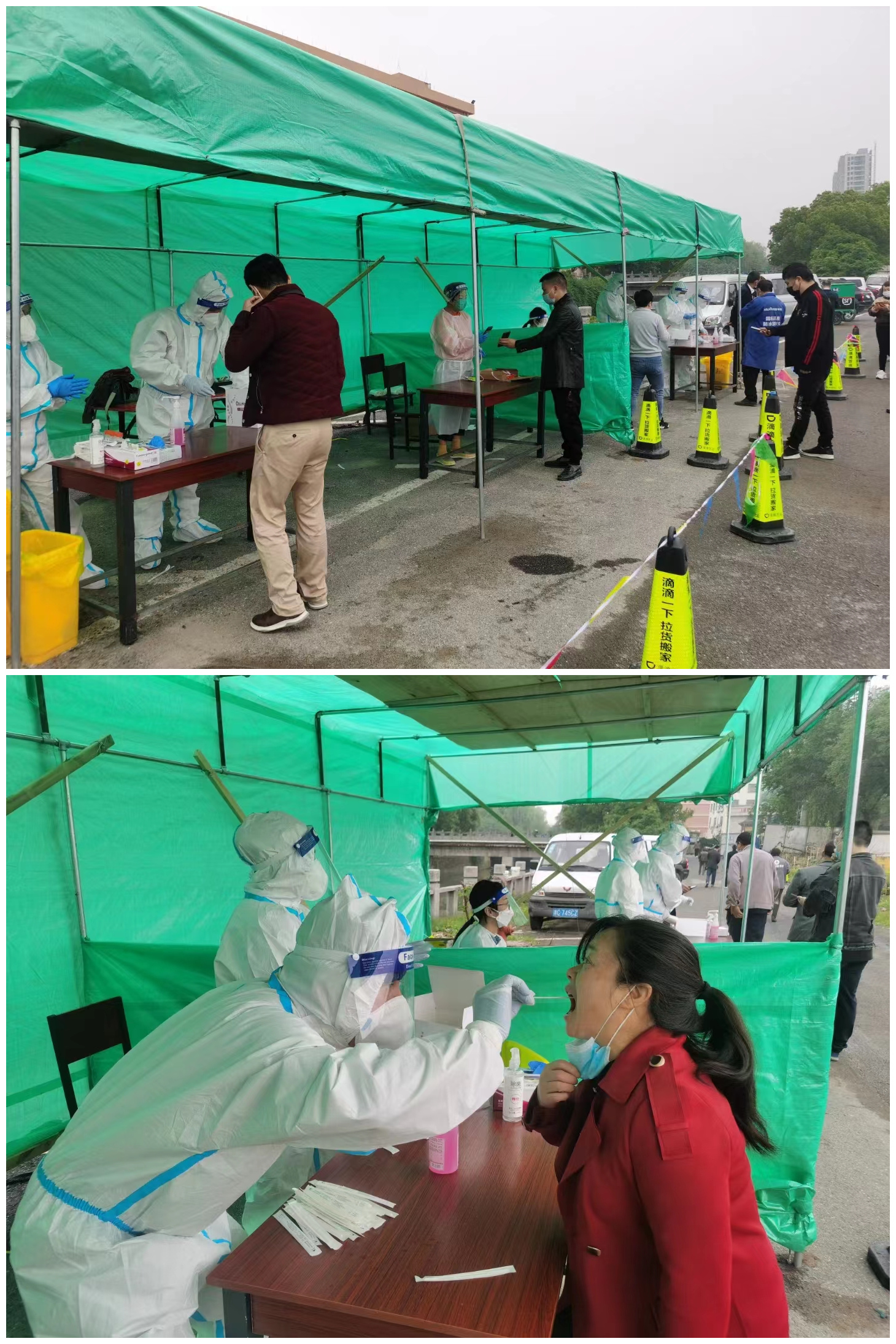 ���������г���������� �㵱������