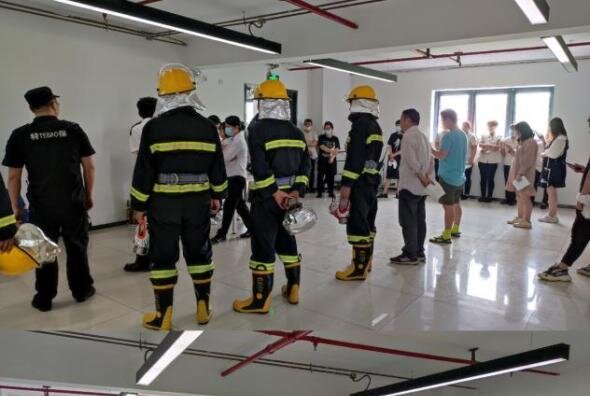 ǿ��������ʶ��������������