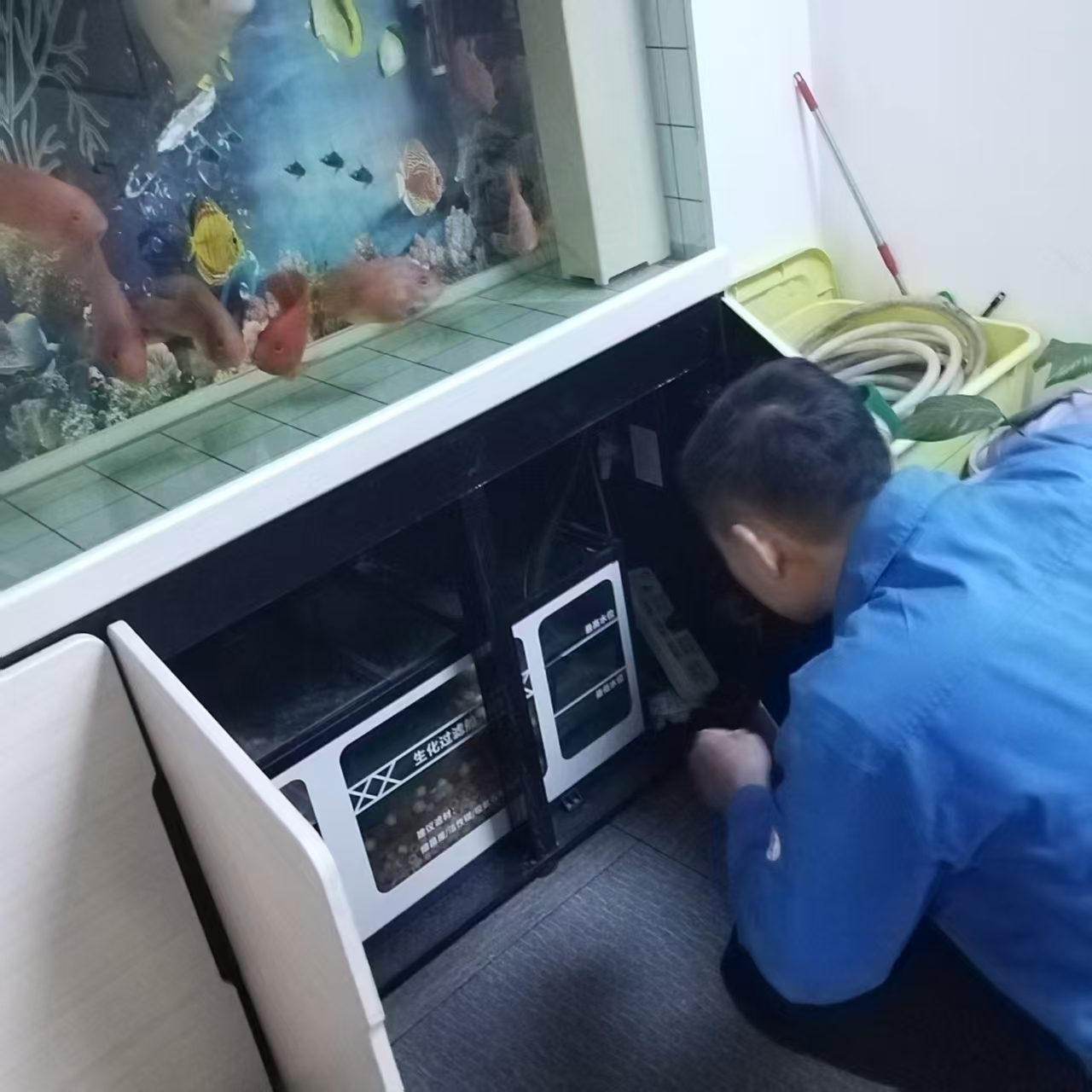 �Ѻá���ǰ�ء������Ρ�ƽ���ߡ��������������Ĵ����ſ�չ����ǰר����������˶�