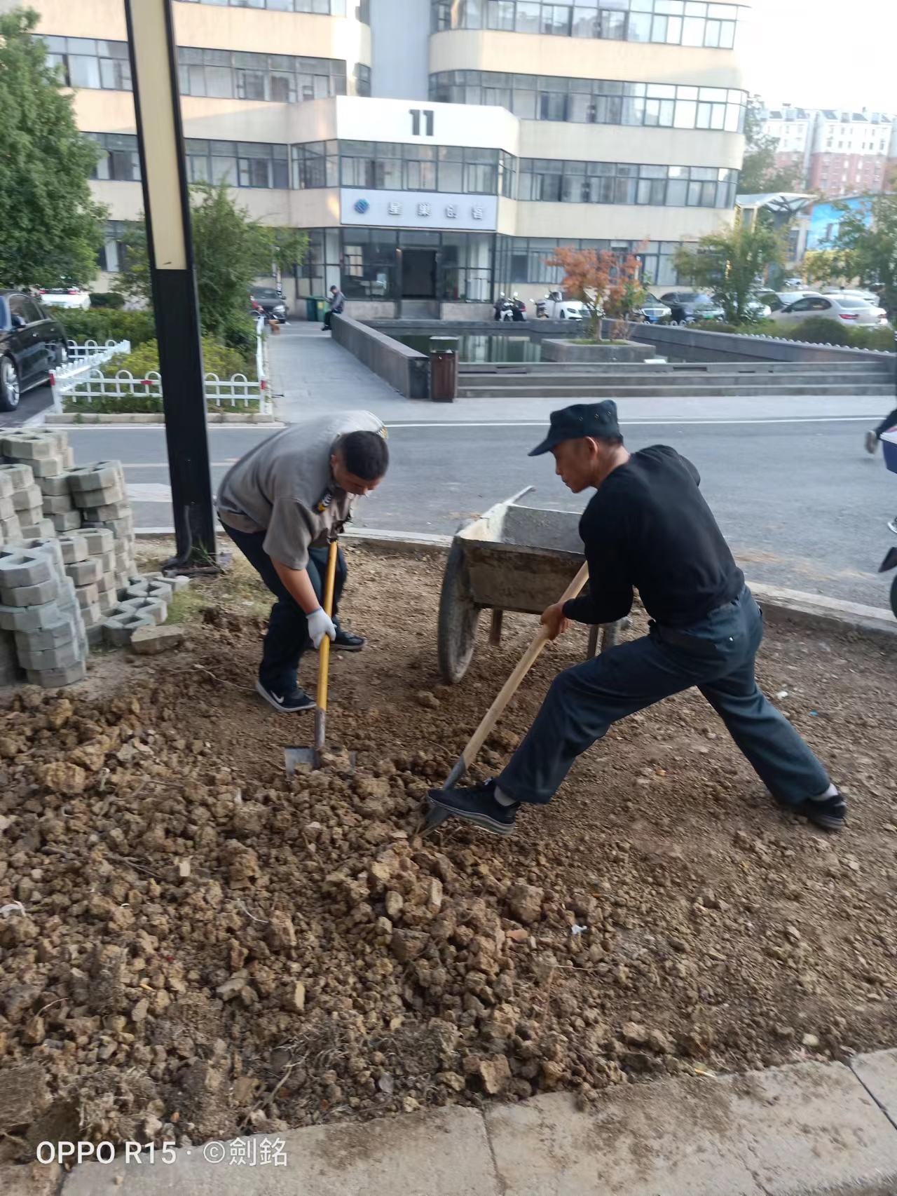 ®�����������Ĵ�԰��չ����Ż��ж�