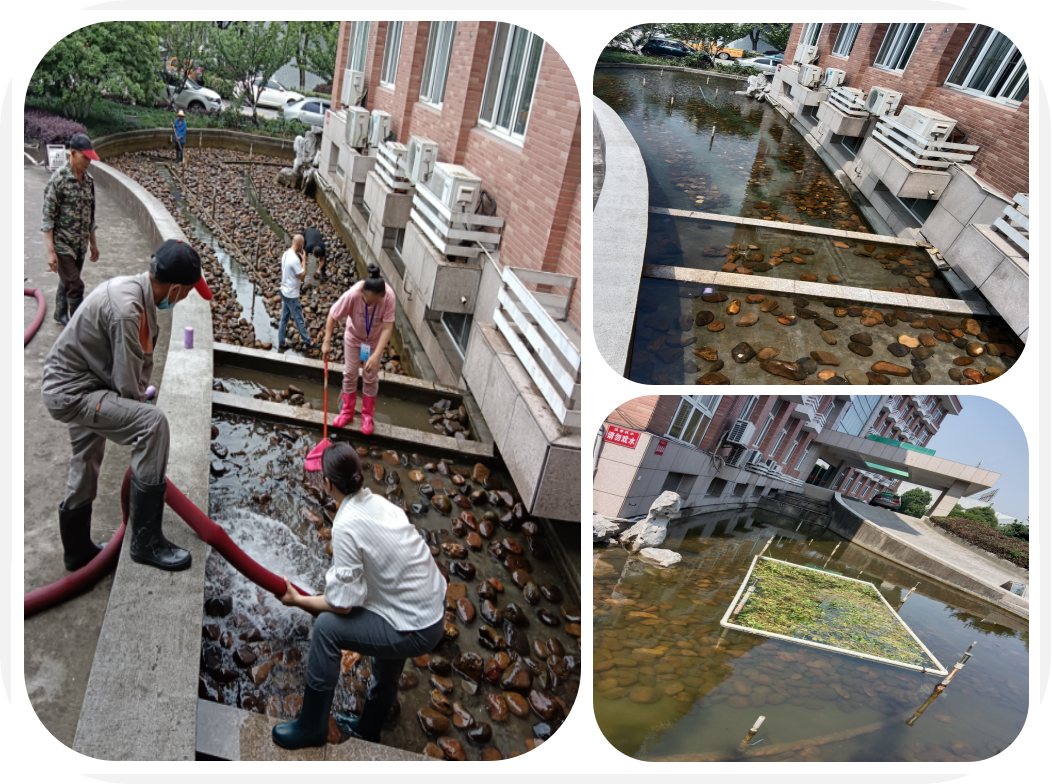 ��Ȼһ����԰�����۳�ӭ������ϴ֮�ա�