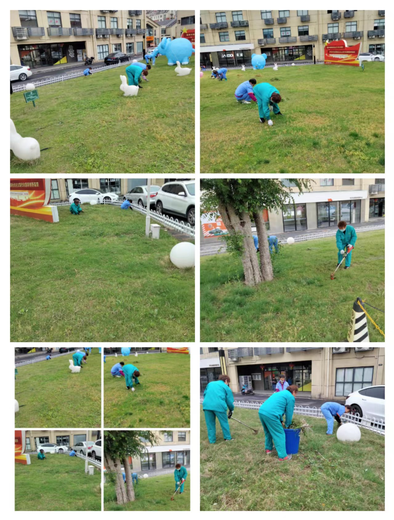 ®�����������Ĵ�԰��չ�̻���������