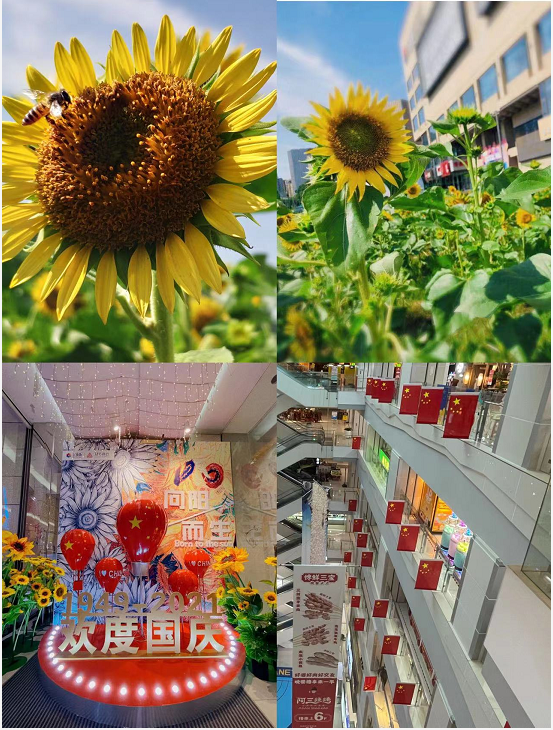 ʢ��������ˮ����ϲӭ����