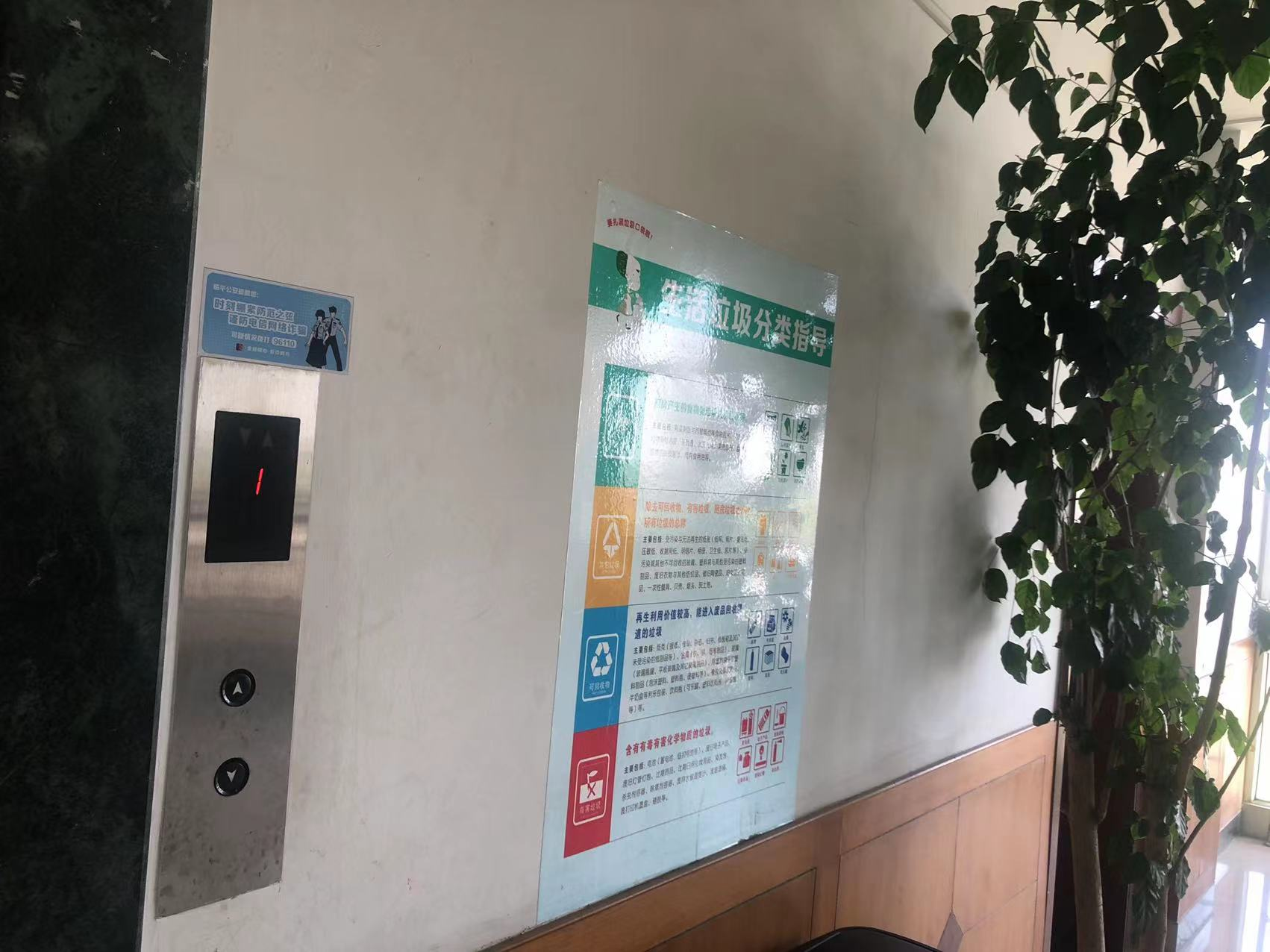 ��߾���������թƭ