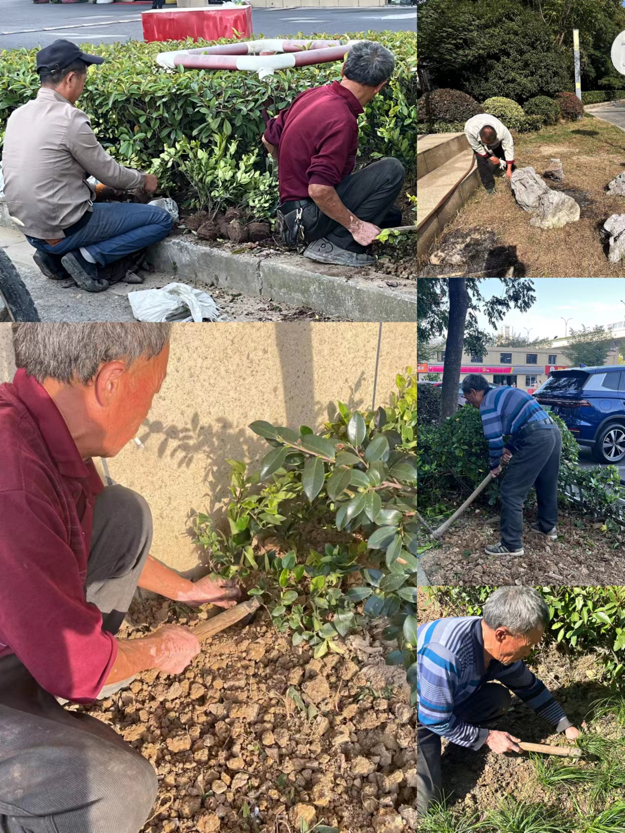 ԰�����˫��������Ȼ�·���ˮ׼