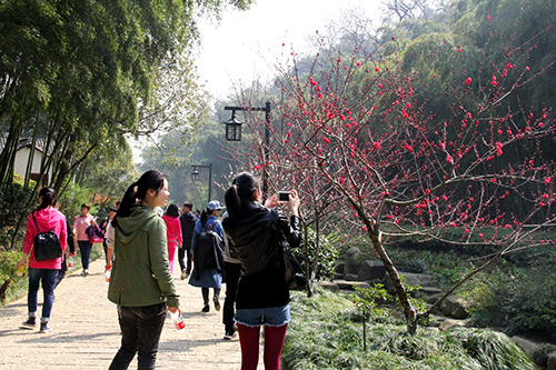 20150329��ɽ�˶� (6).jpg