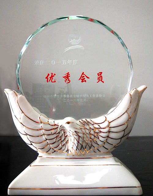 20160311杭州市两新协会优秀会员 (2).jpg 20160311杭州市两新协会优秀会员 (2).jpg