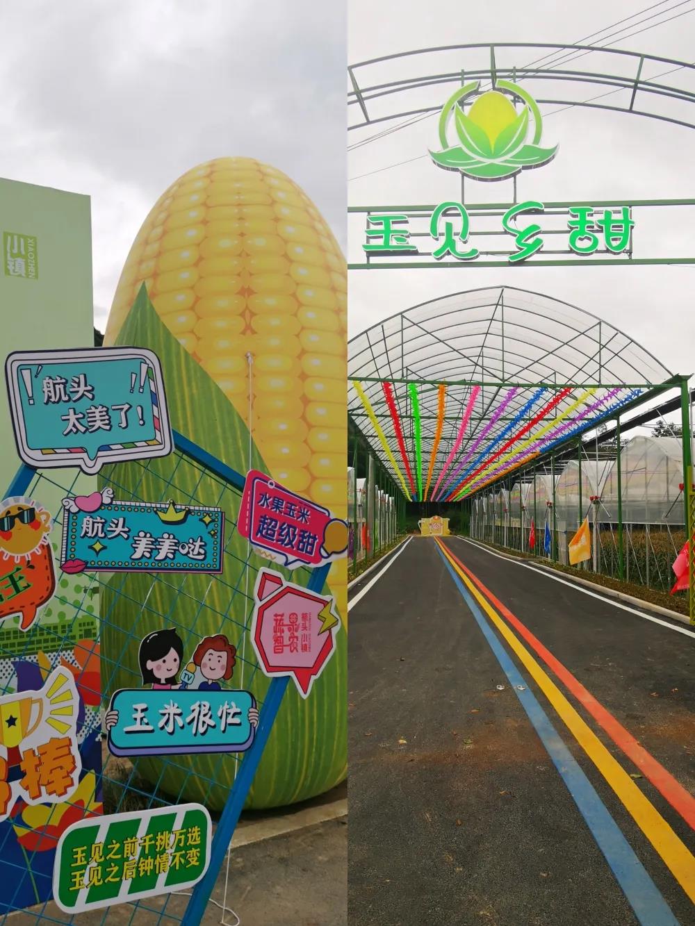 微信图片_20211018150729.jpg 微信图片_20211018150729.jpg